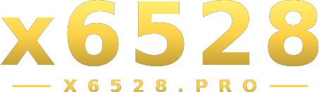 x6528 logo